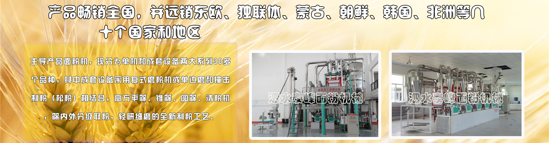 玉米成套設備